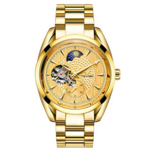 瑞士TEVISE特威斯品牌男士手表 全自动星辰机械男表防水男士手表