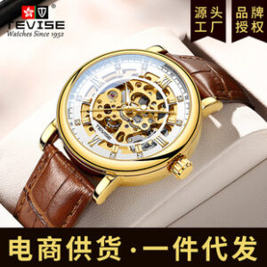 特威斯新款镶钻潮流抖音简约全自动机械手表轻奢运动网红时尚名表